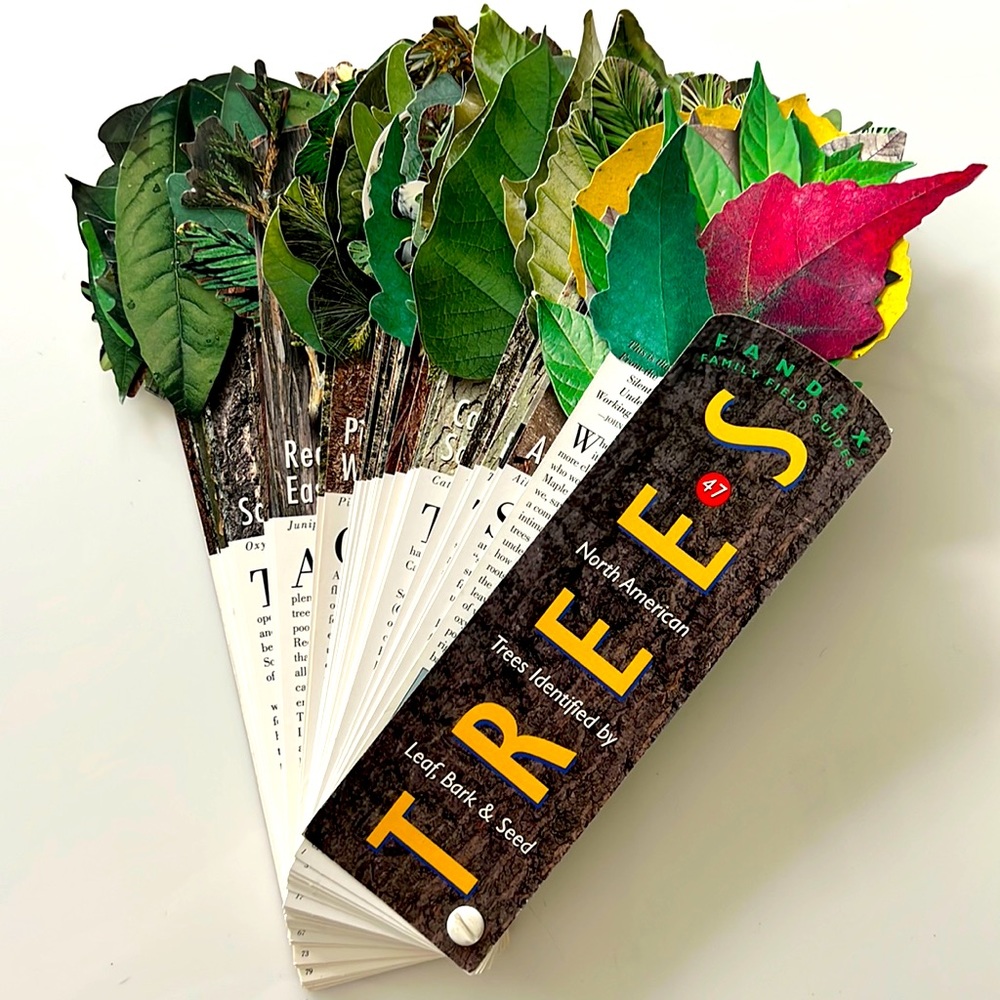 Tree identified booklet!